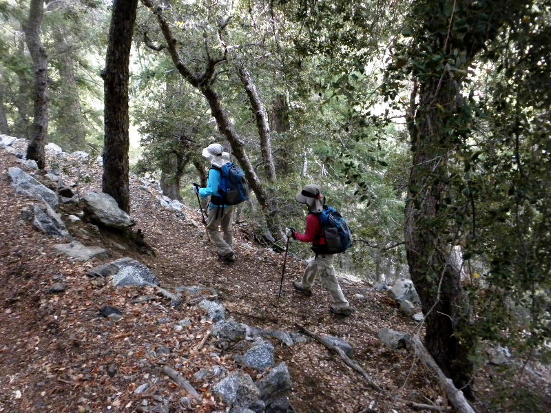 ceglen103110 018.jpg